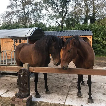 Mijn Buitenhuis Bed & Breakfast *